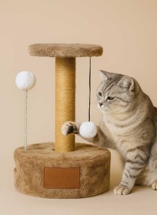 juego mascota BOLUDO
