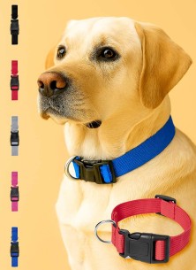 collar mascota MASTIK