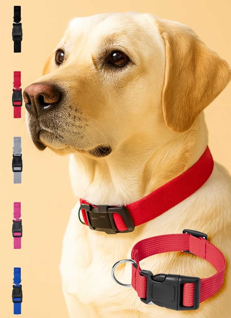 collar mascota MASTIK