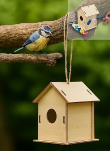Caseta pajaro BIRD