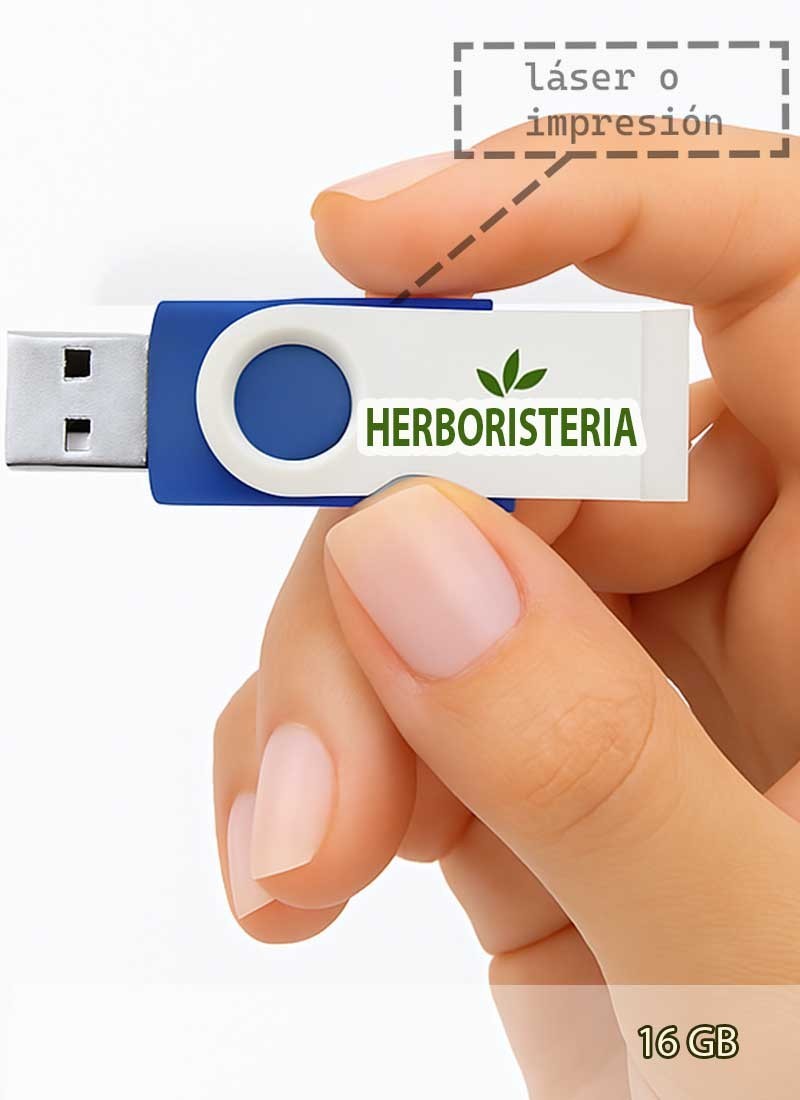 USB memoria KEYBACK 16 Gb